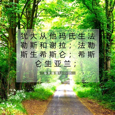 Picture 07 - 马 太 福 音 1:3 CUVS - 犹 大 从 他 玛 氏 生 法 勒 斯 和 谢 - Bible Verse Picture