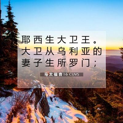Picture 07 - 马 太 福 音 1:6 CUVS - 耶 西 生 大 卫 王 。 大 卫 从 乌 利 - Bible Verse Picture