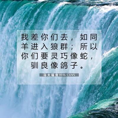Picture 07 - 马 太 福 音 10:16 CUVS - 我 差 你 们 去 ， 如 同 羊 进 入 狼 - Bible Verse Picture