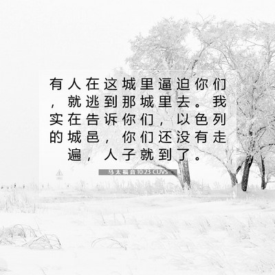 Picture 07 - 马 太 福 音 10:23 CUVS - 有 人 在 这 城 里 逼 迫 你 们 ， 就 - Bible Verse Picture