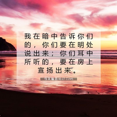 Picture 07 - 马 太 福 音 10:27 CUVS - 我 在 暗 中 告 诉 你 们 的 ， 你 们 - Bible Verse Picture