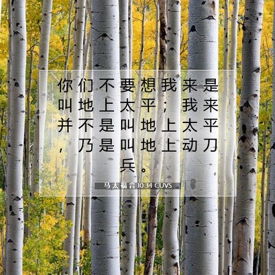 Picture 07 - 马 太 福 音 10:34 CUVS - 你 们 不 要 想 我 来 是 叫 地 上 太 - Bible Verse Picture