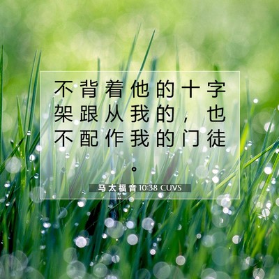 Picture 07 - 马 太 福 音 10:38 CUVS - 不 背 着 他 的 十 字 架 跟 从 我 的 - Bible Verse Picture