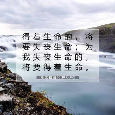 Picture 07 - 马 太 福 音 10:39 CUVS - 得 着 生 命 的 ， 将 要 失 丧 生 命 - Bible Verse Picture