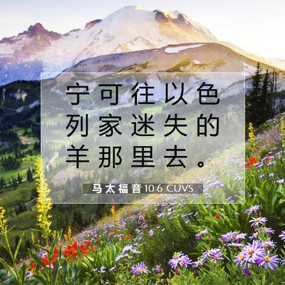 Picture 07 - 马 太 福 音 10:6 CUVS - 宁 可 往 以 色 列 家 迷 失 的 羊 那 - Bible Verse Picture
