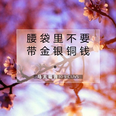 Picture 07 - 马 太 福 音 10:9 CUVS - 腰 袋 里 不 要 带 金 银 铜 钱 - Bible Verse Picture