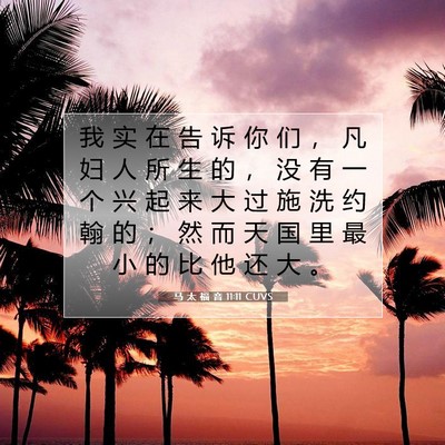 Picture 07 - 马 太 福 音 11:11 CUVS - 我 实 在 告 诉 你 们 ， 凡 妇 人 所 - Bible Verse Picture