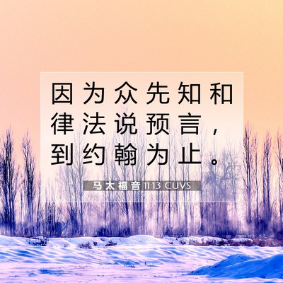 Picture 07 - 马 太 福 音 11:13 CUVS - 因 为 众 先 知 和 律 法 说 预 言 ， - Bible Verse Picture