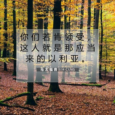 Picture 07 - 马 太 福 音 11:14 CUVS - 你 们 若 肯 领 受 ， 这 人 就 是 那 - Bible Verse Picture