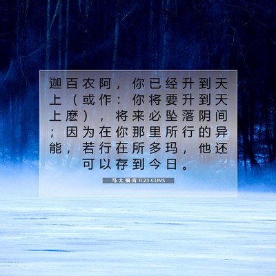 Picture 07 - 马 太 福 音 11:23 CUVS - 迦 百 农 阿 ， 你 已 经 升 到 天 上 - Bible Verse Picture