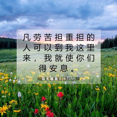 Picture 07 - 马 太 福 音 11:28 CUVS - 凡 劳 苦 担 重 担 的 人 可 以 到 我 - Bible Verse Picture