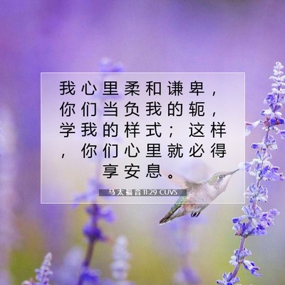 Picture 07 - 马 太 福 音 11:29 CUVS - 我 心 里 柔 和 谦 卑 ， 你 们 当 负 - Bible Verse Picture