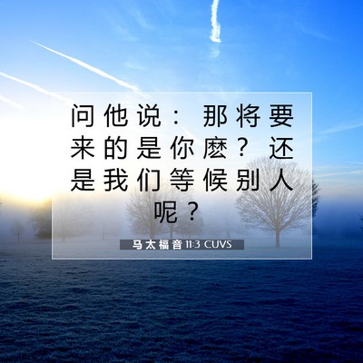 Picture 07 - 马 太 福 音 11:3 CUVS - 问 他 说 ： 那 将 要 来 的 是 你 麽 - Bible Verse Picture