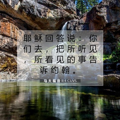 Picture 07 - 马 太 福 音 11:4 CUVS - 耶 稣 回 答 说 ： 你 们 去 ， 把 所 - Bible Verse Picture