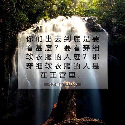 Picture 07 - 马 太 福 音 11:8 CUVS - 你 们 出 去 到 底 是 要 看 甚 麽 ？ - Bible Verse Picture