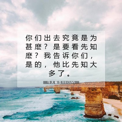 Picture 07 - 马 太 福 音 11:9 CUVS - 你 们 出 去 究 竟 是 为 甚 麽 ？ 是 - Bible Verse Picture