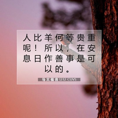Picture 07 - 马 太 福 音 12:12 CUVS - 人 比 羊 何 等 贵 重 呢 ！ 所 以 ， - Bible Verse Picture