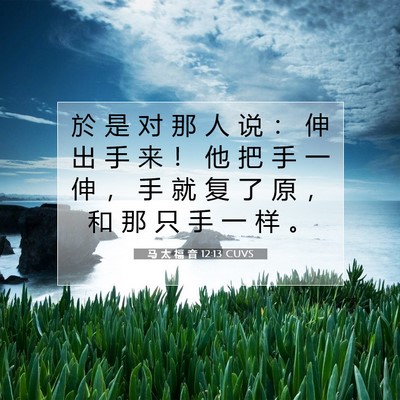 Picture 07 - 马 太 福 音 12:13 CUVS - 於 是 对 那 人 说 ： 伸 出 手 来 ！ - Bible Verse Picture