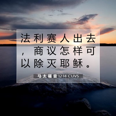Picture 07 - 马 太 福 音 12:14 CUVS - 法 利 赛 人 出 去 ， 商 议 怎 样 可 - Bible Verse Picture