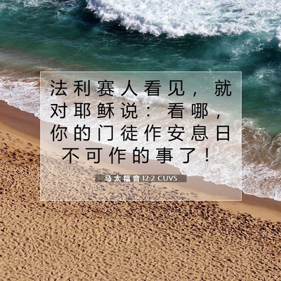 Picture 07 - 马 太 福 音 12:2 CUVS - 法 利 赛 人 看 见 ， 就 对 耶 稣 说 - Bible Verse Picture