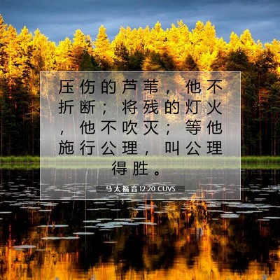 Picture 07 - 马 太 福 音 12:20 CUVS - 压 伤 的 芦 苇 ， 他 不 折 断 ； 将 - Bible Verse Picture