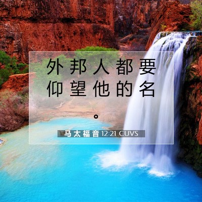 Picture 07 - 马 太 福 音 12:21 CUVS - 外 邦 人 都 要 仰 望 他 的 名 - Bible Verse Picture