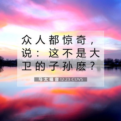 Picture 07 - 马 太 福 音 12:23 CUVS - 众 人 都 惊 奇 ， 说 ： 这 不 是 大 - Bible Verse Picture