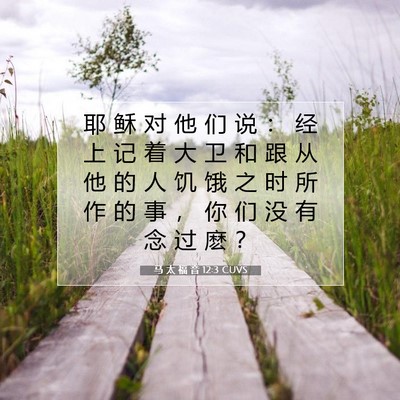 Picture 07 - 马 太 福 音 12:3 CUVS - 耶 稣 对 他 们 说 ： 经 上 记 着 大 - Bible Verse Picture