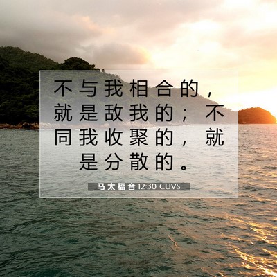 Picture 07 - 马 太 福 音 12:30 CUVS - 不 与 我 相 合 的 ， 就 是 敌 我 的 - Bible Verse Picture