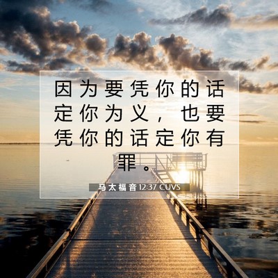 Picture 07 - 马 太 福 音 12:37 CUVS - 因 为 要 凭 你 的 话 定 你 为 义 ， - Bible Verse Picture