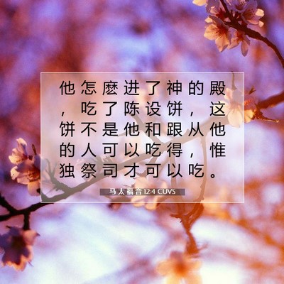 Picture 07 - 马 太 福 音 12:4 CUVS - 他 怎 麽 进 了 神 的 殿 ， 吃 了 陈 - Bible Verse Picture