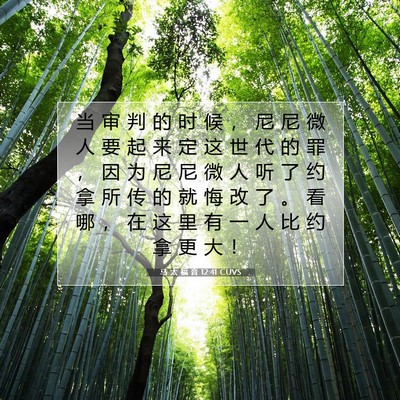 Picture 07 - 马 太 福 音 12:41 CUVS - 当 审 判 的 时 候 ， 尼 尼 微 人 要 - Bible Verse Picture