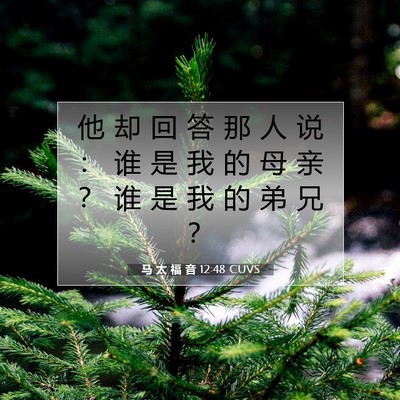 Picture 07 - 马 太 福 音 12:48 CUVS - 他 却 回 答 那 人 说 ： 谁 是 我 的 - Bible Verse Picture