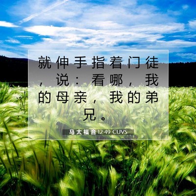 Picture 07 - 马 太 福 音 12:49 CUVS - 就 伸 手 指 着 门 徒 ， 说 ： 看 哪 - Bible Verse Picture