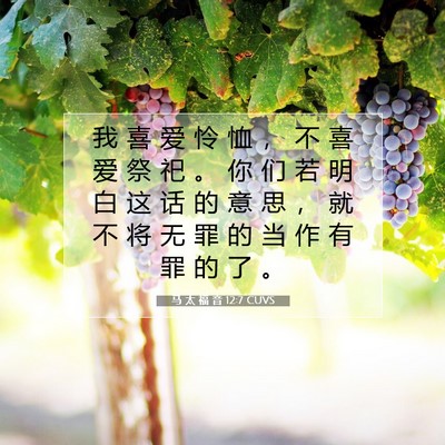 Picture 07 - 马 太 福 音 12:7 CUVS - 我 喜 爱 怜 恤 ， 不 喜 爱 祭 祀 。 - Bible Verse Picture