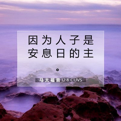 Picture 07 - 马 太 福 音 12:8 CUVS - 因 为 人 子 是 安 息 日 的 主 - Bible Verse Picture