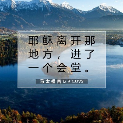 Picture 07 - 马 太 福 音 12:9 CUVS - 耶 稣 离 开 那 地 方 ， 进 了 一 个 - Bible Verse Picture