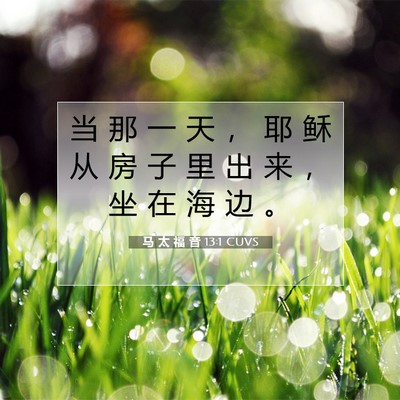 Picture 07 - 马 太 福 音 13:1 CUVS - 当 那 一 天 ， 耶 稣 从 房 子 里 出 - Bible Verse Picture