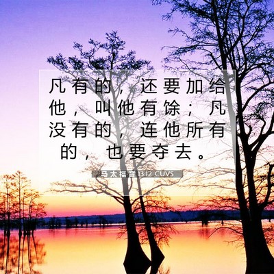 Picture 07 - 马 太 福 音 13:12 CUVS - 凡 有 的 ， 还 要 加 给 他 ， 叫 他 - Bible Verse Picture