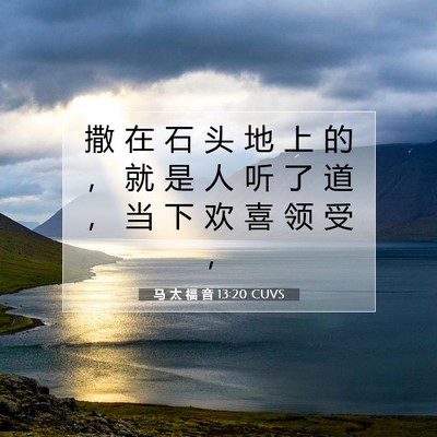 Picture 07 - 马 太 福 音 13:20 CUVS - 撒 在 石 头 地 上 的 ， 就 是 人 听 - Bible Verse Picture