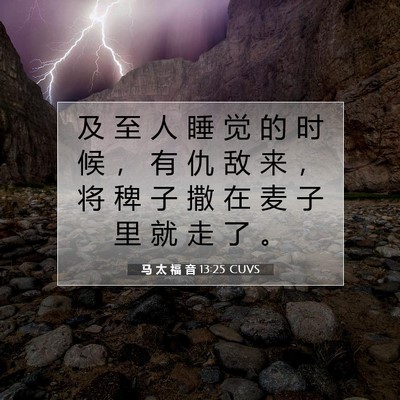 Picture 07 - 马 太 福 音 13:25 CUVS - 及 至 人 睡 觉 的 时 候 ， 有 仇 敌 - Bible Verse Picture