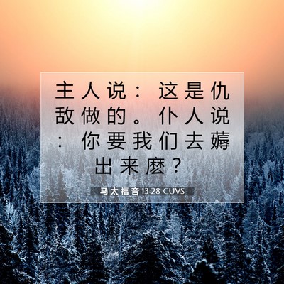 Picture 07 - 马 太 福 音 13:28 CUVS - 主 人 说 ： 这 是 仇 敌 做 的 。 仆 - Bible Verse Picture