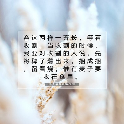 Picture 07 - 马 太 福 音 13:30 CUVS - 容 这 两 样 一 齐 长 ， 等 着 收 割 - Bible Verse Picture
