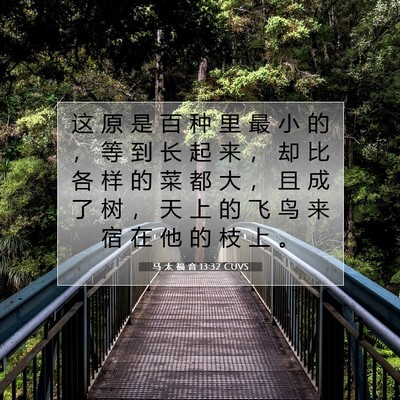 Picture 07 - 马 太 福 音 13:32 CUVS - 这 原 是 百 种 里 最 小 的 ， 等 到 - Bible Verse Picture