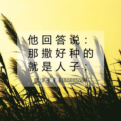 Picture 07 - 马 太 福 音 13:37 CUVS - 他 回 答 说 ： 那 撒 好 种 的 就 是 - Bible Verse Picture