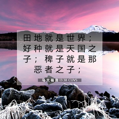 Picture 07 - 马 太 福 音 13:38 CUVS - 田 地 就 是 世 界 ； 好 种 就 是 天 - Bible Verse Picture