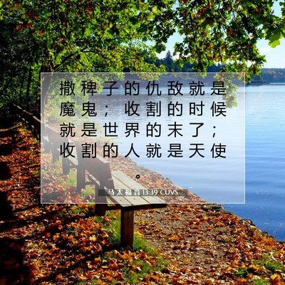 Picture 07 - 马 太 福 音 13:39 CUVS - 撒 稗 子 的 仇 敌 就 是 魔 鬼 ； 收 - Bible Verse Picture