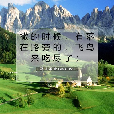 Picture 07 - 马 太 福 音 13:4 CUVS - 撒 的 时 候 ， 有 落 在 路 旁 的 ， - Bible Verse Picture