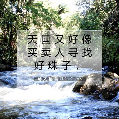 Picture 07 - 马 太 福 音 13:45 CUVS - 天 国 又 好 像 买 卖 人 寻 找 好 珠 - Bible Verse Picture