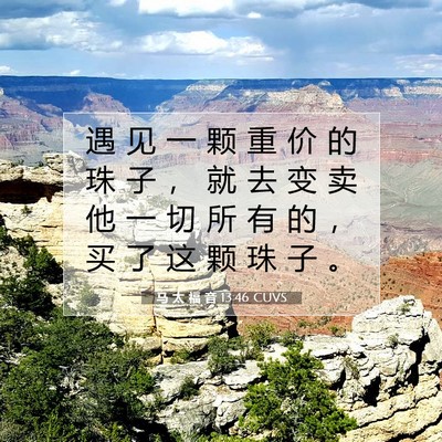 Picture 07 - 马 太 福 音 13:46 CUVS - 遇 见 一 颗 重 价 的 珠 子 ， 就 去 - Bible Verse Picture